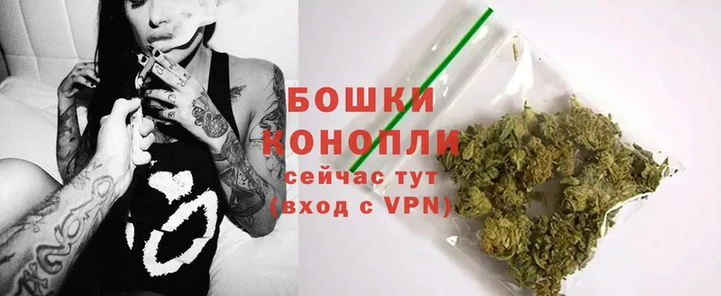 как найти   Грайворон  кракен   Каннабис OG Kush 